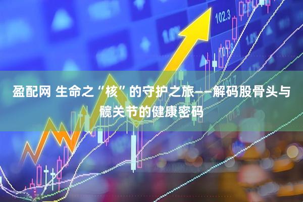 盈配网 生命之“核”的守护之旅——解码股骨头与髋关节的健康密码