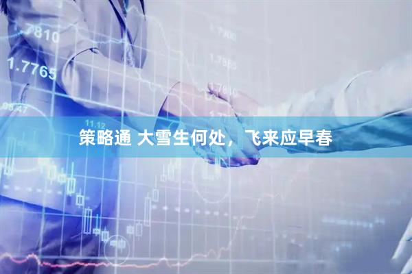 策略通 大雪生何处，飞来应早春