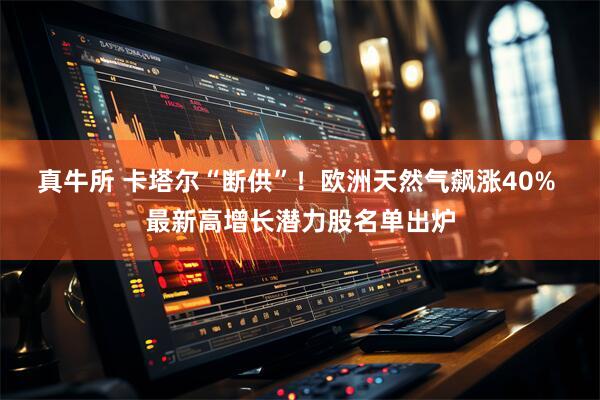 真牛所 卡塔尔“断供”！欧洲天然气飙涨40% 最新高增长潜力股名单出炉