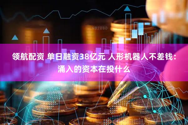 领航配资 单日融资38亿元 人形机器人不差钱：涌入的资本在投什么