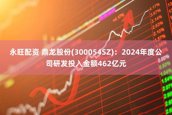 永旺配资 鼎龙股份(300054SZ)：2024年度公司研发投入金额462亿元